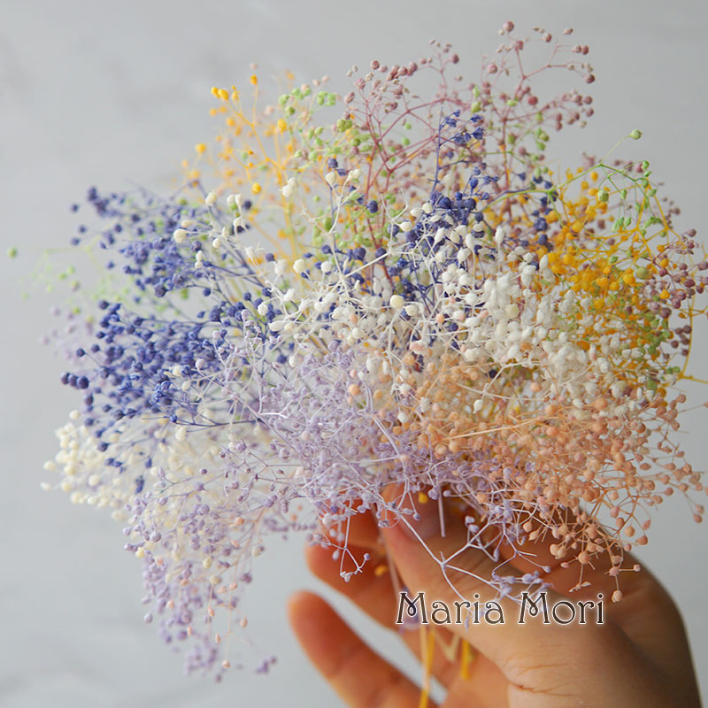 Baby Breath Dried - 5g/Mini aliento de bebé flores preservadas