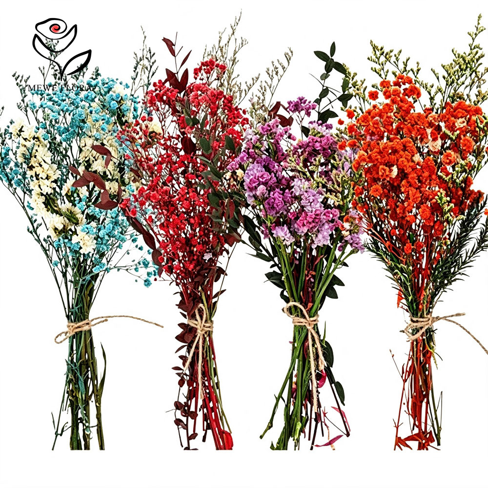 Baby Breath Dried - Flores Secas Coloridas, Babys Breath Natural,