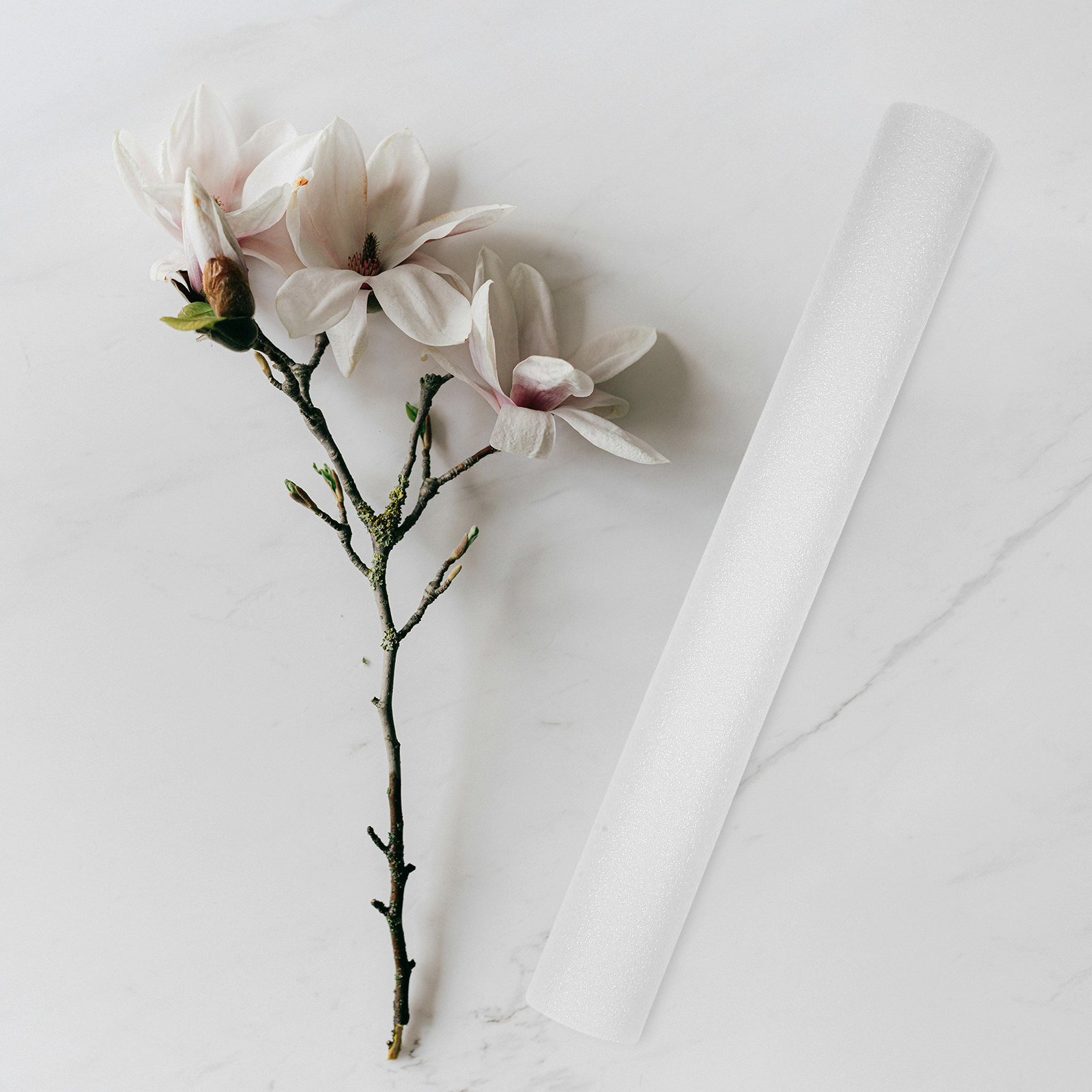 5 Varillas de Espuma Blanca de - Supply For Florist reseña y precio