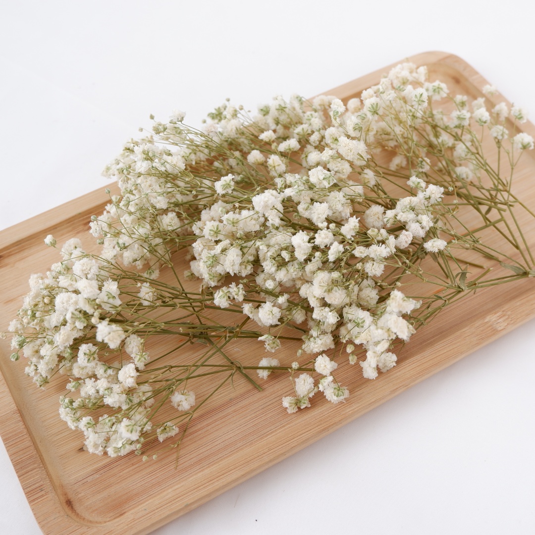 Flores secas Mini flores secas - Baby Breath Dried reseña y precio