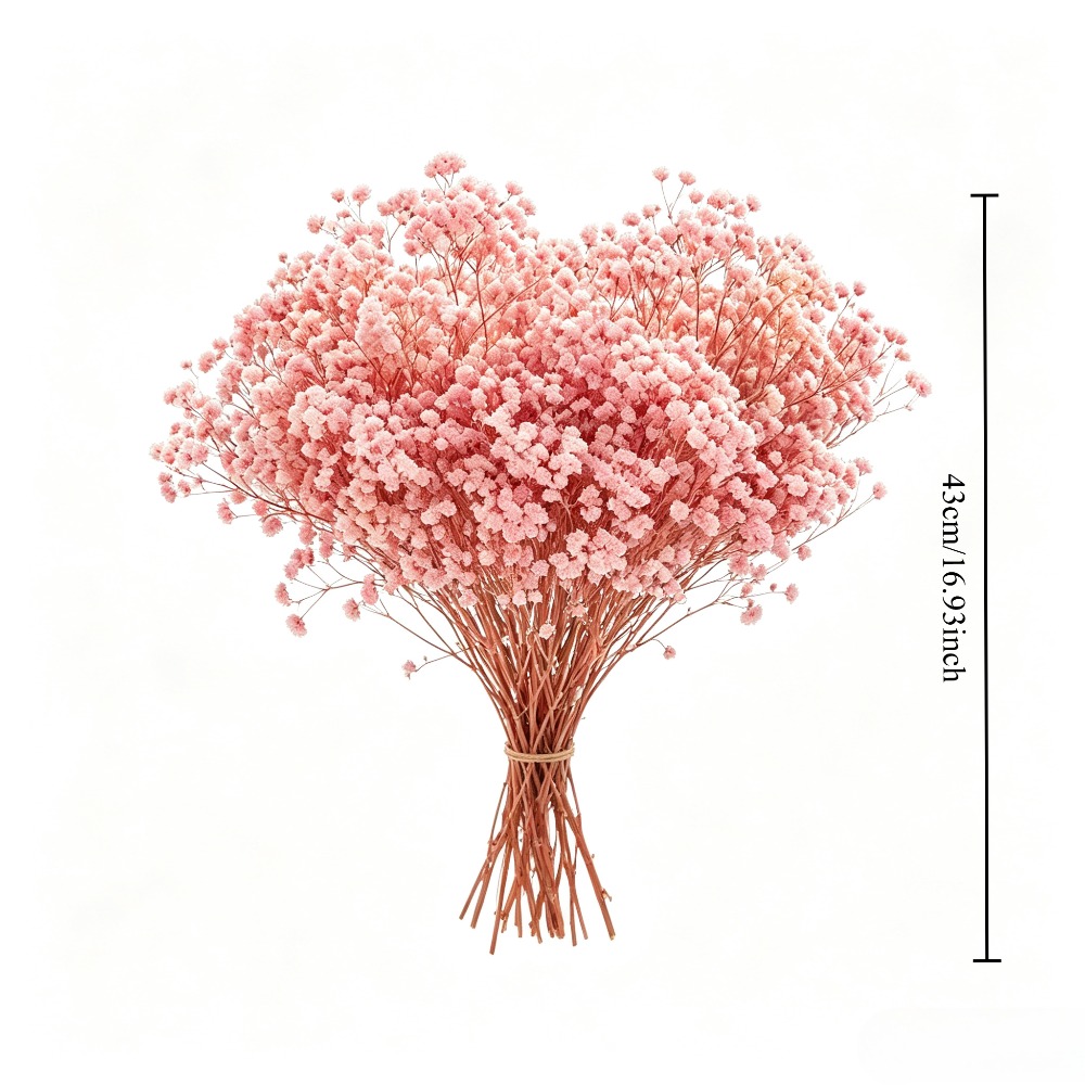 Ramo de Gypsophila Rosa Natura - Baby Breath Dried reseña y precio