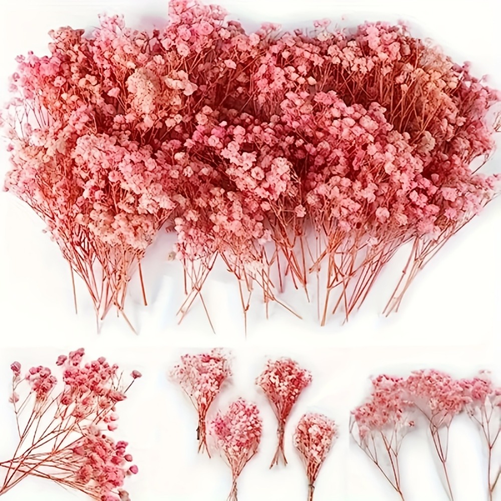 Ramo de Gypsophila Rosa Natura - Baby Breath Dried reseña y precio