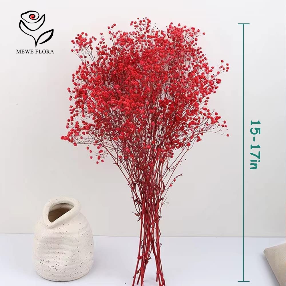 Ramo de flores secas para el a - Baby Breath Dried reseña y precio