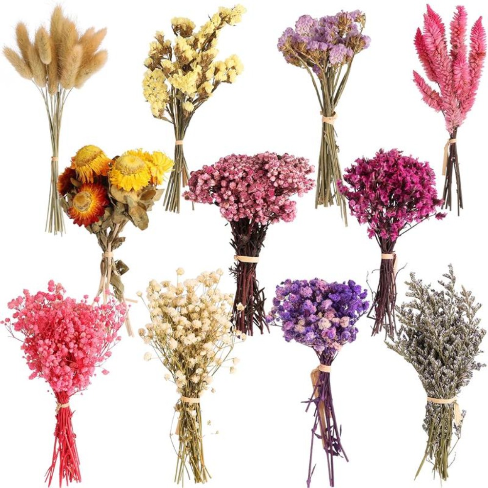 Mini Ramo de Flores Secas de G - Baby Breath Dried reseña y precio