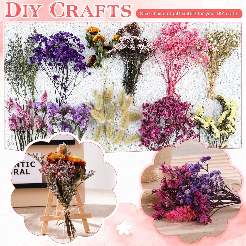 Mini Ramo de Flores Secas de G - Baby Breath Dried reseña y precio