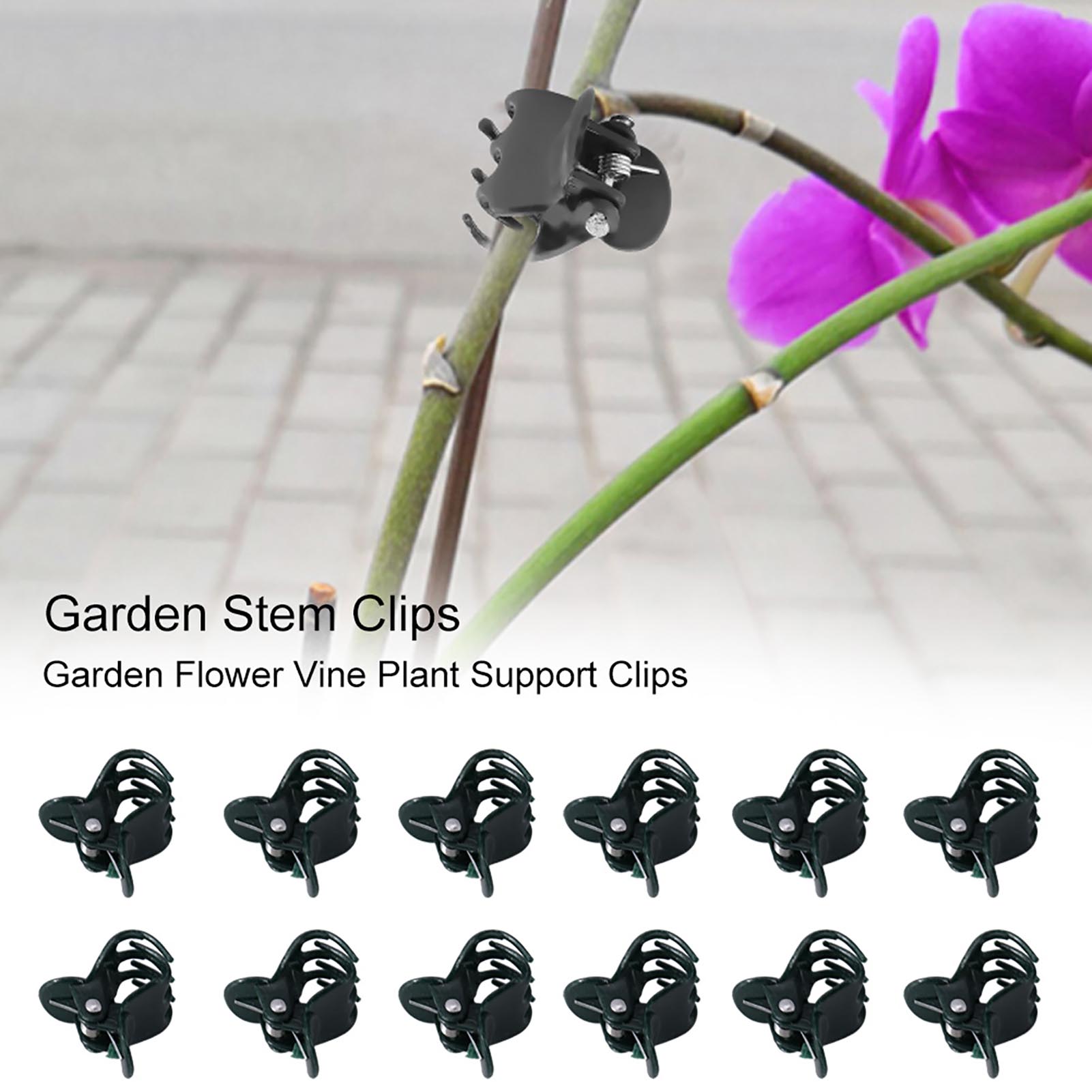 100 Uds Mini Clips para planta - Supply For Florist reseña y precio
