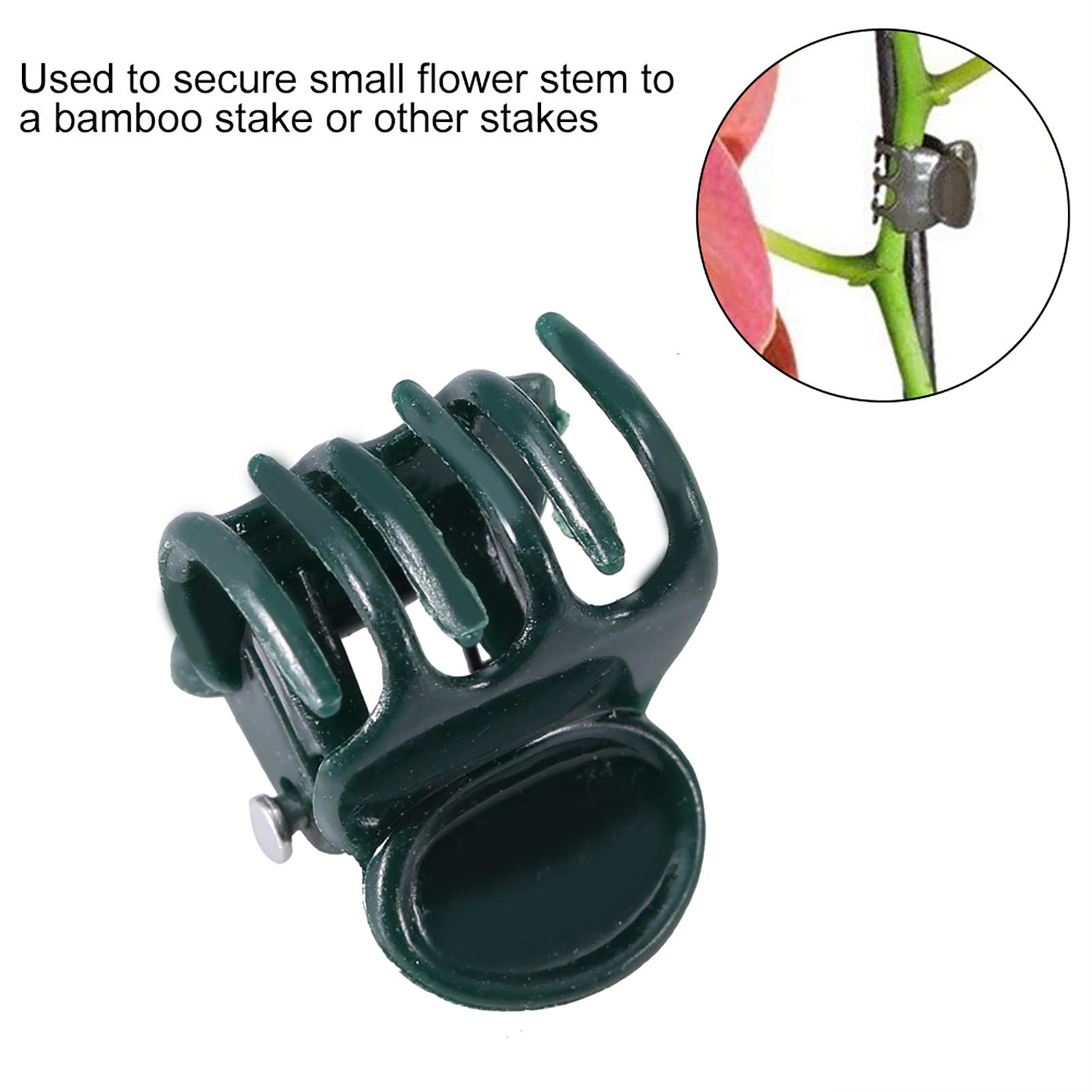 100 Uds Mini Clips para planta - Supply For Florist reseña y precio