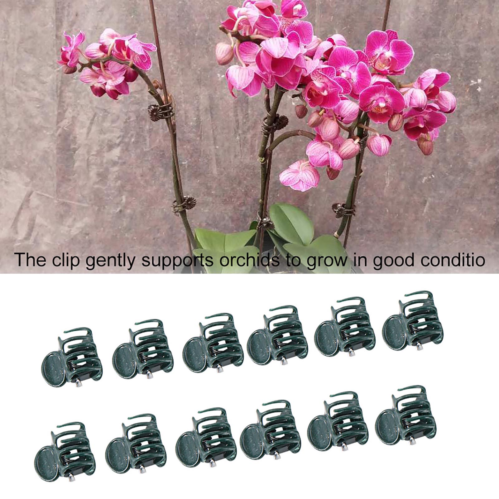 100 Uds Mini Clips para planta - Supply For Florist reseña y precio