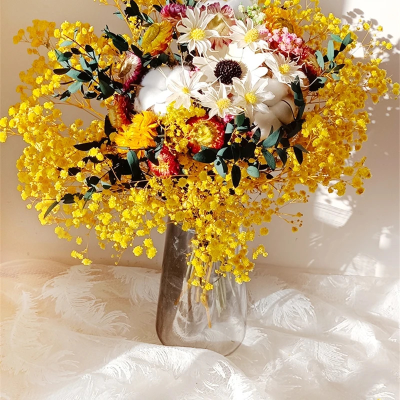 Flor seca Natural Gypsophila,  - Baby Breath Dried reseña y precio