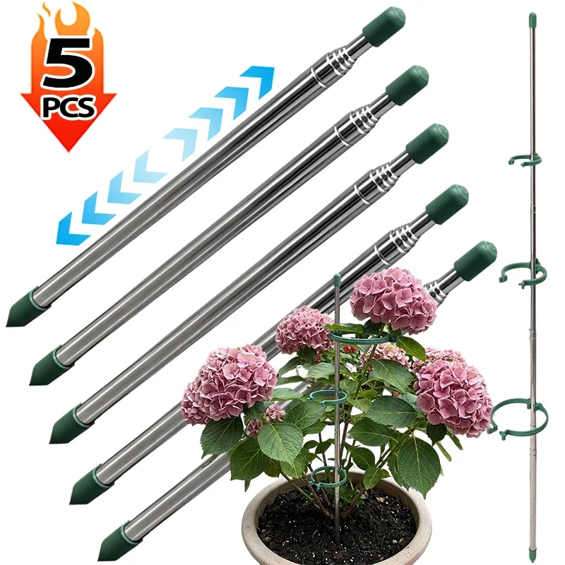 5/1PCS Anillos de Soporte Retr - Supply For Florist reseña y precio