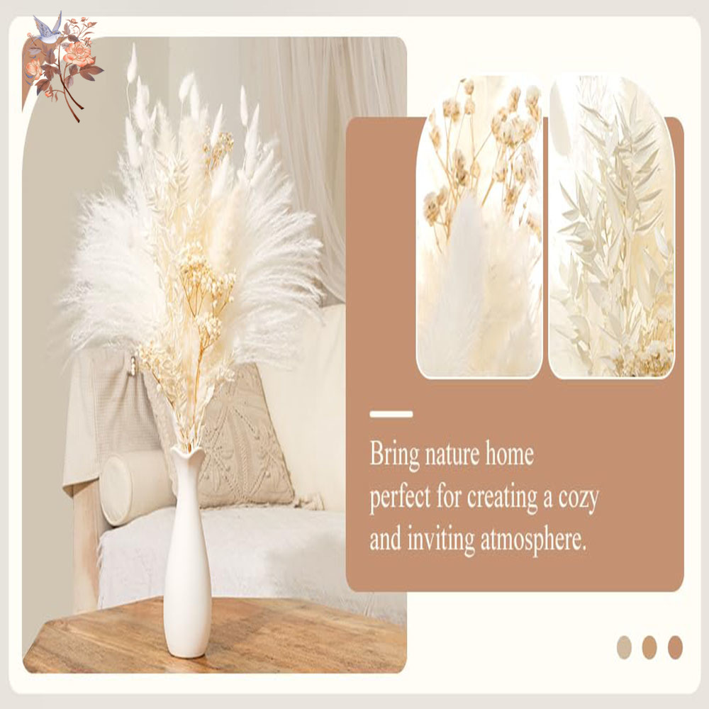 40 Uds. Ramo de flores secas n - Baby Breath Dried reseña y precio