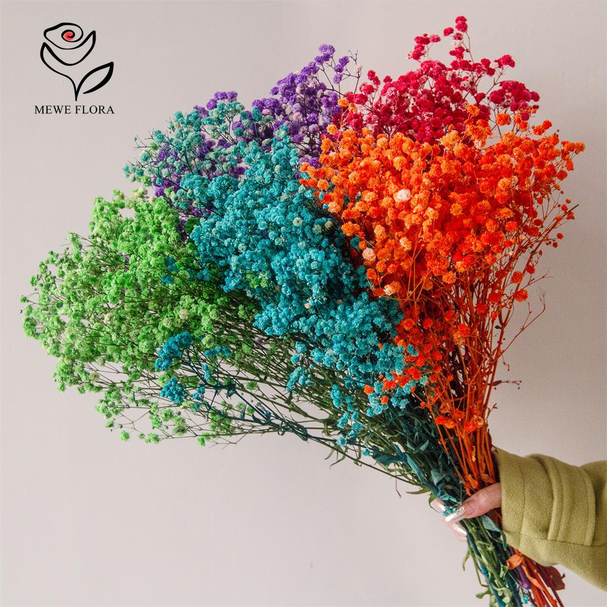 Mezcla de 80g de Gypsophila, r - Baby Breath Dried reseña y precio