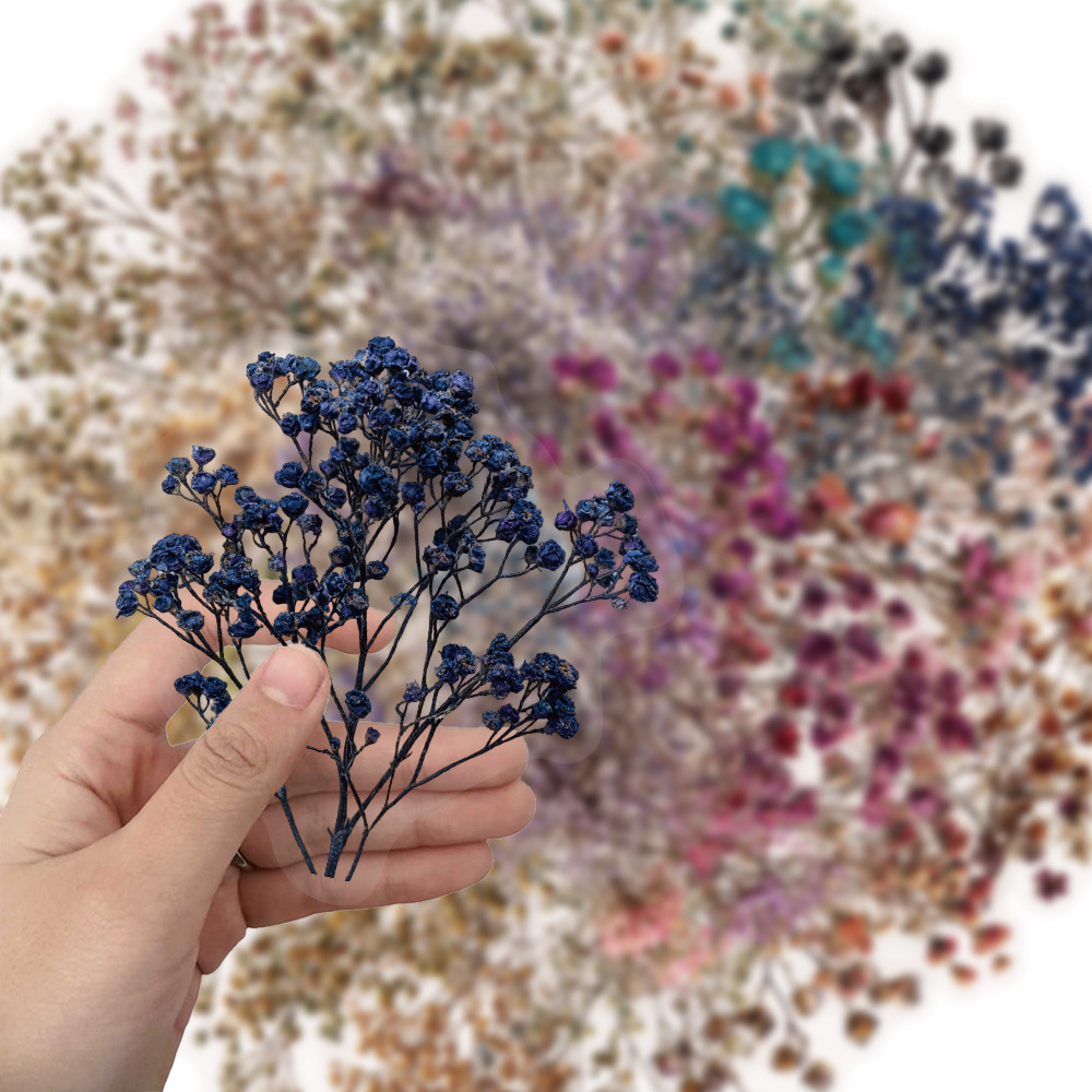 50 Pegatinas Decorativas Vinta - Baby Breath Dried reseña y precio