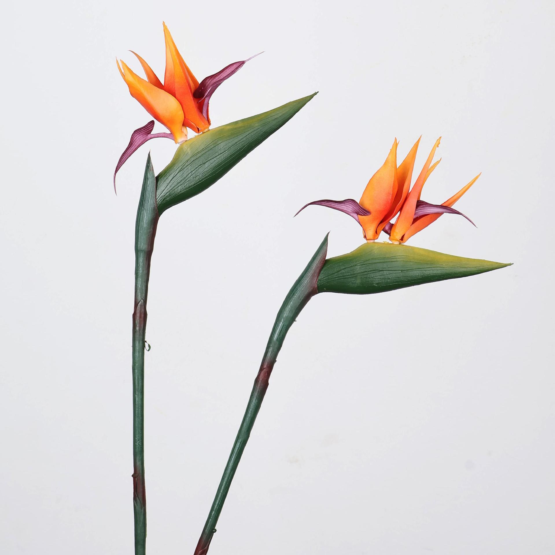33 Inch Artificial Bird Of Par - Supply For Florist reseña y precio