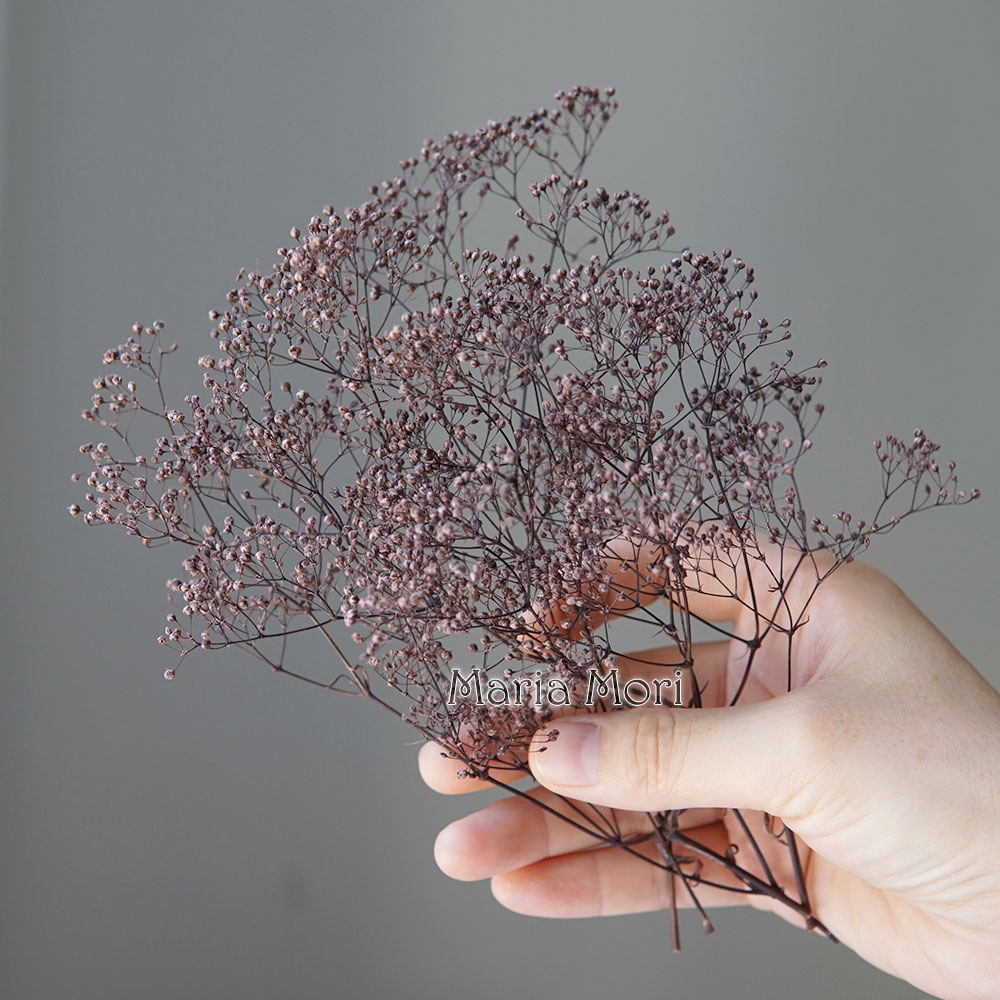 5g/Mini aliento de bebé flores - Baby Breath Dried reseña y precio