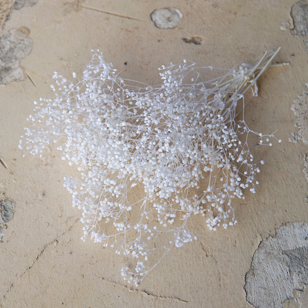 5g/Mini aliento de bebé flores - Baby Breath Dried reseña y precio