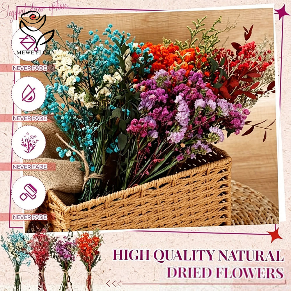 Flores Secas Coloridas, Babys  - Baby Breath Dried reseña y precio
